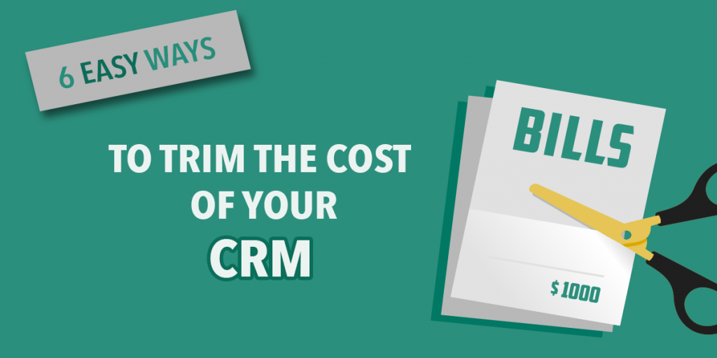 how-to-trim-the-cost-of-your-crm-implementation-1024×517